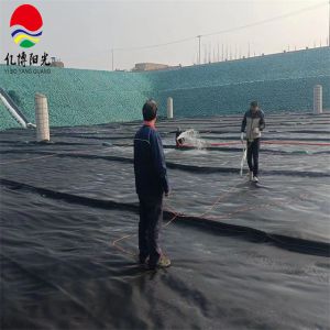 HDPE Geomembrane Liner Plastic Sheet for Fish Farming Water Tank Environmentally