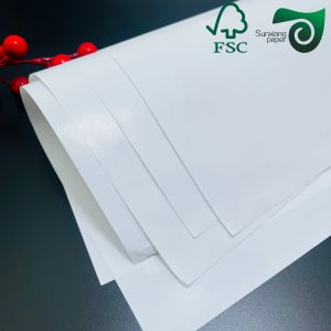 FSC Custom Size 160gsm 180gsm Inkjet Printing C2S Art Paper For Books