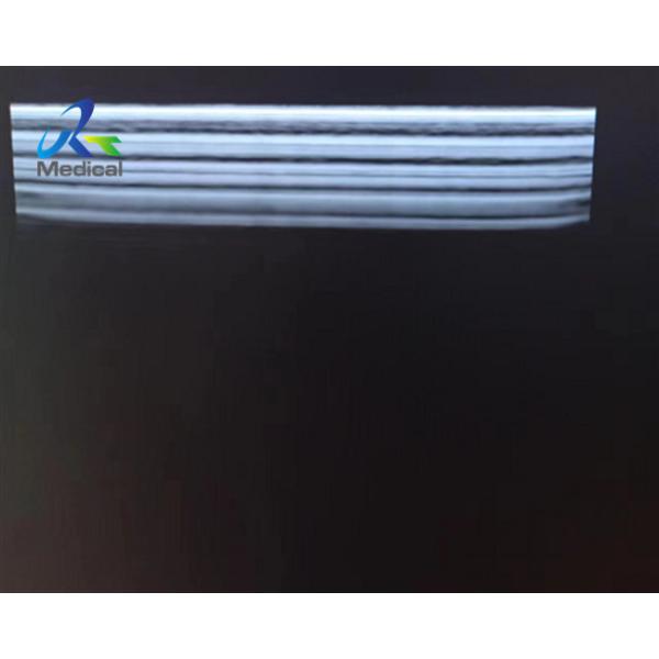 Biosound Biosound SL1543 Linear Array Ultrasound Transducer Probe Crystal