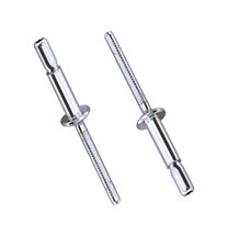 Stainless Steel Brushed Rivets With Inner Locking Brushed Rivets Cup Mouth Shape