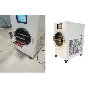 4-10kg Capacity Home Freeze Dryer Medium Freeze Drying Machine