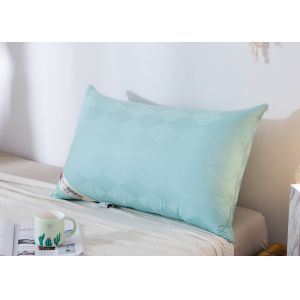 Non Odor Rectangular Anti Static Down Dreams Pillows