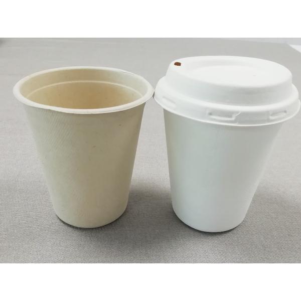 8oz Sugarcane Cup Compostable And Degradable 100% Sugarcane Pulp Cup Paper Coffee Cups With Lids For Coffee,Tea,Juice