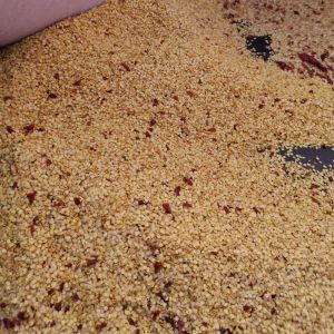 China Long Chinese Dried Chili Peppers High In Vitamin C - Natural Ingredients on sale