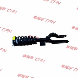 Front Left Shock Absorber Strut Assembly Fit Tesla Model 3 Model Y 17-23 1044363