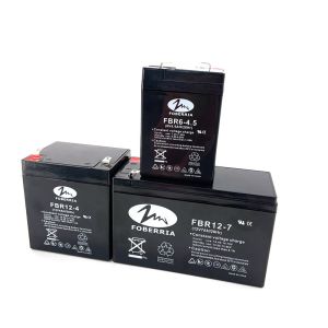 FBR Small Valve Regulated Sealed Lead Acid Battery 6V 100mm For Light System