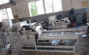 Cheap Almond Peanut Chopping Machine , Automatic Nut Cracker Machine Low Noise for sale