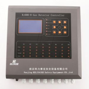 Wall Mounted Gas Detector Controller 5A 30V DC For H2S Detection