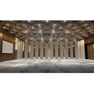 China Easy Installation Movable Decorative Wall Divider Privacy Function Modern Style on sale