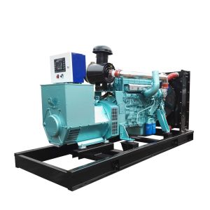 60kw 100kw Biogas Generator Set with Factory Price