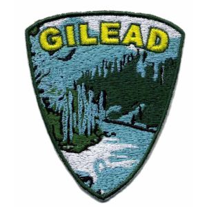 Cheap Custom 3D / puff embroidery patch heat cut border with heat seal on backing for sale