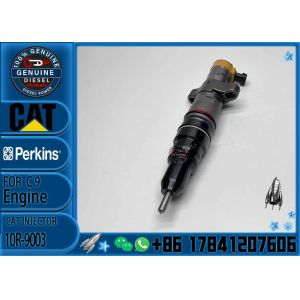 Fuel Injector Assembly 293-4067 293-4074 10R-9003 235-5261 267-3360 328-2574 For