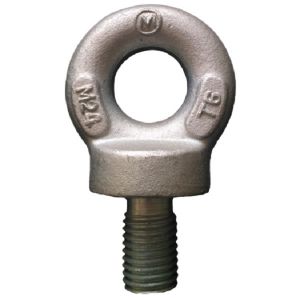 Eye Screw Forged Eye Bolt Bs4278 -1 Collared Eyebolt M6 To M76