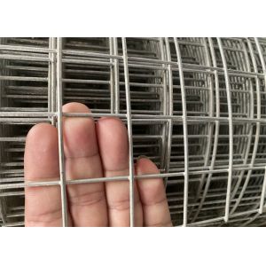 Cheap Galvanised Welded Wire Mesh Roll Electro Galvanized BWG14 - BWG25 1/2&quot; 5/8&quot; for sale