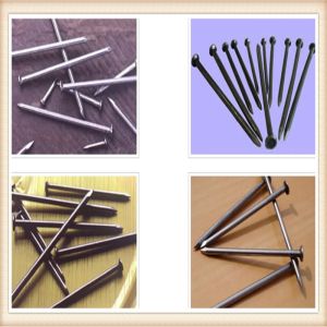 Cheap Competitive price common nails ,coil nails supplier for sale