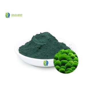 Cheap Chlorella Algae Powder 50%~60% Protein for sale
