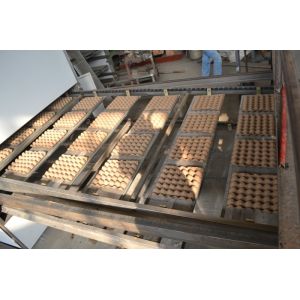 Paper Apple Tray / Egg Tray Manufacturing Unit With Low Energy Consumption