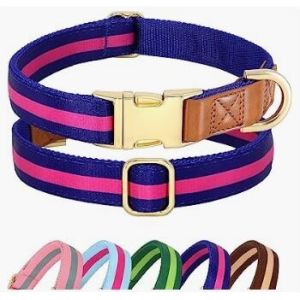 Personalized Nylon Dog Collar Multi Color Durable Pet Collar with Laser Engrave
