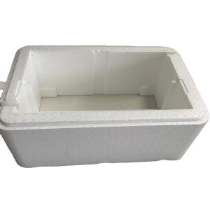 Electronic Products EPP Packaging EPP Foam Molding Moisture Proof