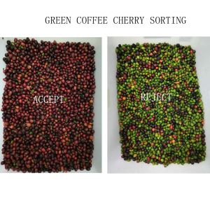 128 Channels Green Coffee Beans Color Sorter for Cherry Separating