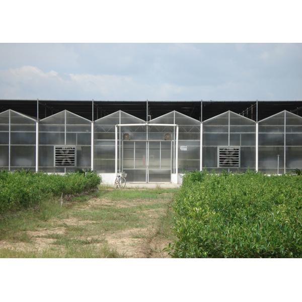 Quality 9.6m Tunnel Width Polycarbonate Greenhouse for Sustainable Agricultural Practices wholesale