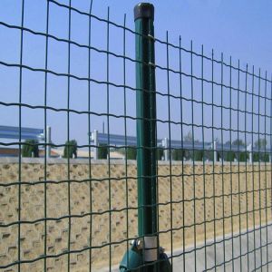 Hot-dipped Galvanized Welded Wire Mesh Panel Fencing With PVC Coating