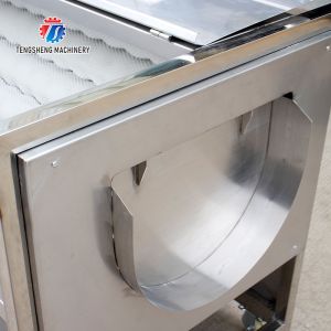 380KG Stainless steel roller cleaning machine, ginger, taro, lotus root,