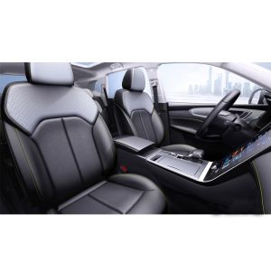 Electric Rear Window and LED Daytime Light within Saic Roewe RX5 2022 2023