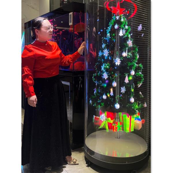 Quality 65cm 768LED Halloween Hologram Display Fan Projector 4K 3D Hologram Projector With Holograma App Festive Displays wholesale