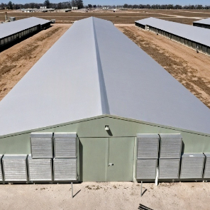 Portal Frame Poultry House Q235B Q355B ASTM A36 Earthquake Resistant