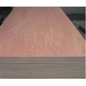 China Rotary Cut Bintangor Veneers E1 2440mm BC Wood Plywood on sale