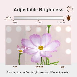 Discover the Secret to Flawless Makeup with Hollywood Mirror