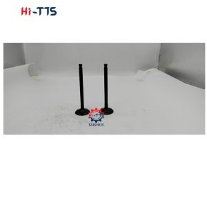 China High Quality 6D16 Engine Valve ME031937 ME031939 ME031558 on sale