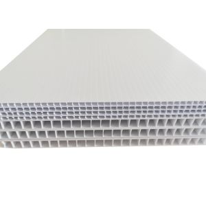 4x8 PP Hollow Board
