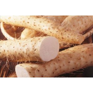ISO certificated wild yam extract diosgenin -Dioscorea opposita Thunb.