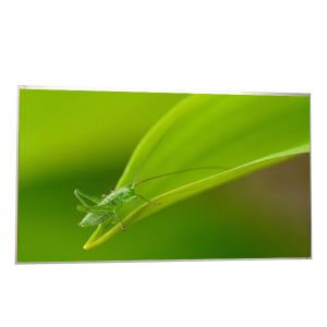 27.0 inch P270HVN02.0 RGB 1920*1080 TFT LCD Screen