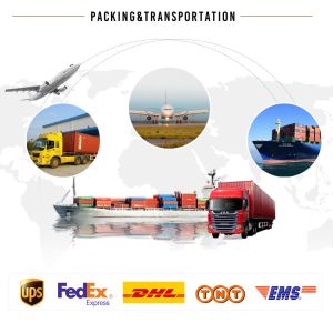 400kg Ice Storage 282kg Daily Icesta LZ-1.2 Flake Ice Machine for Industrial Sea