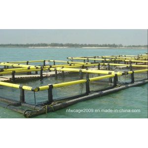 HDPE Floating Fish Cage with Long Life and Easy Net Replacement Featuring Grid