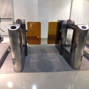 500-900mm Swing Barrier Gate Systems For Passenger Access With Alarm