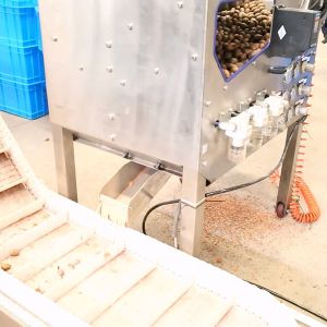 380V Dry Cracker Equipped Pecan Shelling Machine With 24000 Nuts Processing