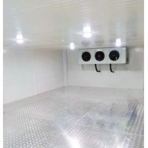 Walk In Cold Storage Warehouse Ice House Refrigerated Room