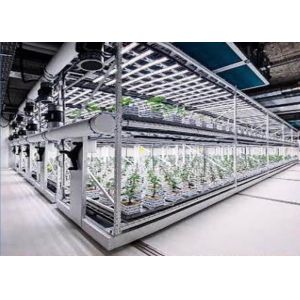 Custom Aeroponics Hydroponics System For Planting