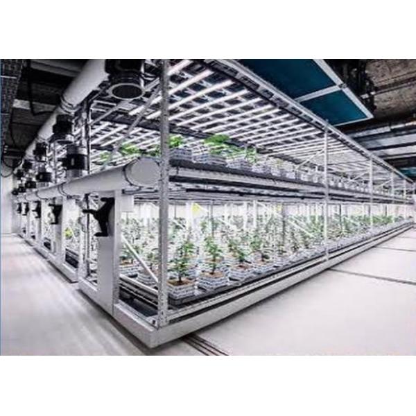 Quality Custom Aeroponics Hydroponics System For Planting wholesale