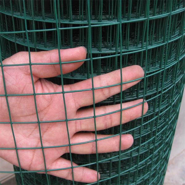High-Quality PVC Coated Welded Wire Mesh Fencing for Garden Fence Bird Cages