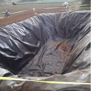 Industrial Design Style HDPE Geomembrane Liner 0.5mm 1.0mm 1.2mm 2mm for Fish