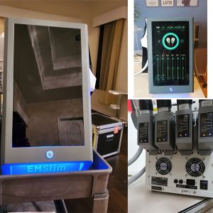 China 100Hz Emslim Electric Pulse Muscle Stimulator For Urinary Incontinence Treatment on sale