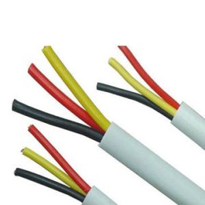 RVV Cable With The Core Number 2 Core To 41 Core/PVC Insulated /Rated Voltage