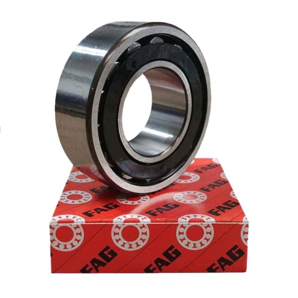Quality 20213-K-TVP-C3 FAG Barrel Roller Bearings 65x120x23mm wholesale