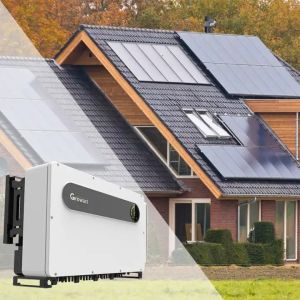 Solar 100Kw Growatt On Grid Inverter Price Solar Panel With Grid Tie Solar