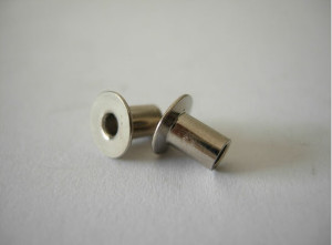 Professional China Supplier Round Head Machine Rivets